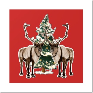 Christmas reindeers Posters and Art